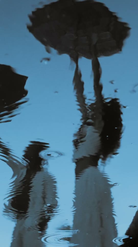 Reflexo de um casal na chuva